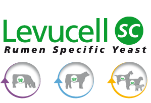 Levucell®SC Rumen Specific Yeast